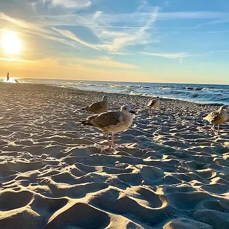 Garden Baltic 別荘 Chłopy