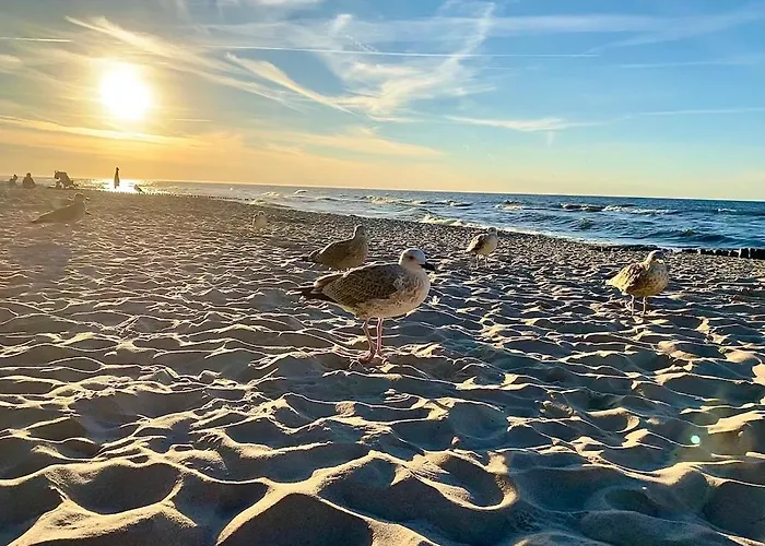 Garden Baltic Сasa de vacaciones Chłopy